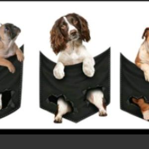 Meet your Posher, Gail